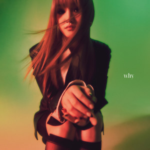 왜 (Feat. 개코)
