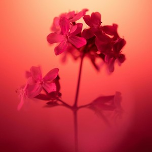 爱到尽头 (撕心裂肺)