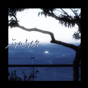 海屿你-江易泽