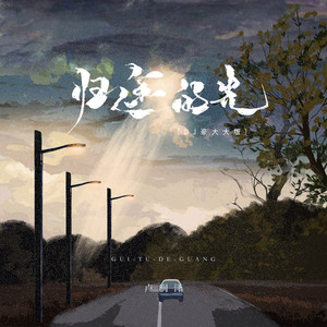 卢润泽 - 归途的光 (DJ豪大大版)
