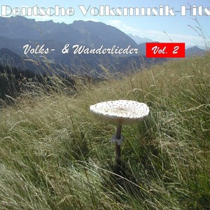 Deutsche Volksmusik Hits - Volks- & Wanderlieder, Vol. 2