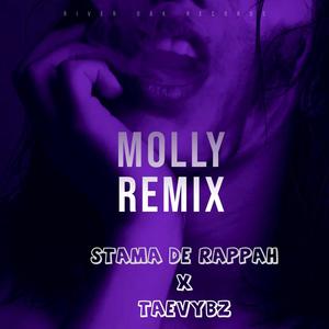 Molly (feat. Taevybz) [Remix] [Explicit]