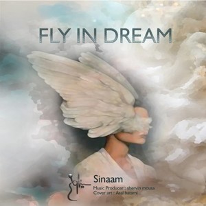 Fly in Dream