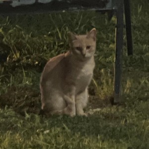 we talked last night (Explicit)