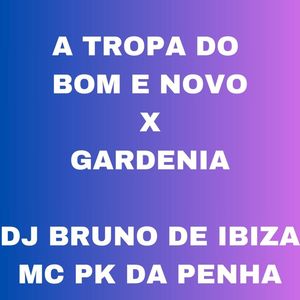A TROPA DO BOM E NOVO X GARDENIA (Explicit)