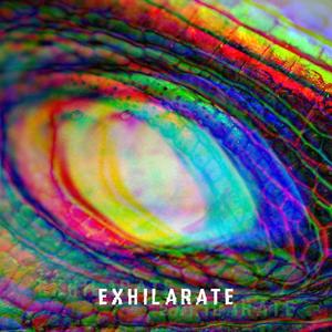 Exhilarate