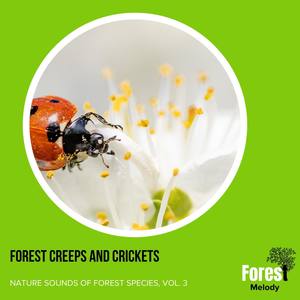 Exhirilating Song of the Brown Thrasher