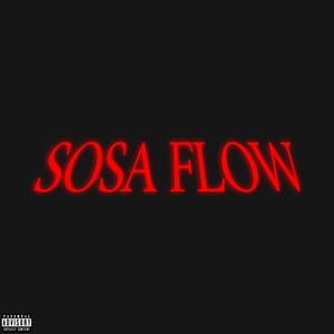 SOSA FLOW (feat. gleefulzayy & lil maji) [Explicit]