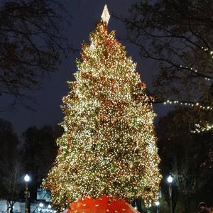 Another Chance for Christmas