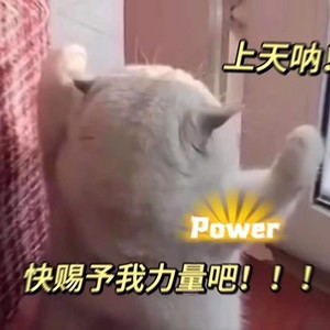 异类
