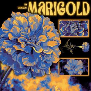 MARIGOLD (feat. Moxy)