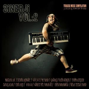 Sinerji, Vol. 2