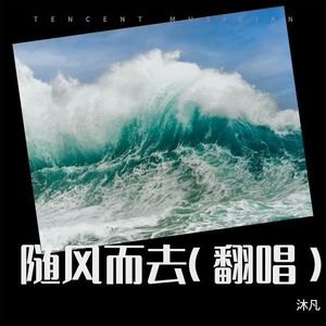 随风而去 (Live)封面