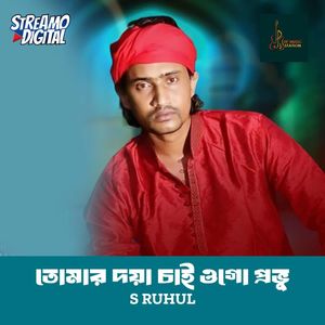 Tomar Doya Chai Ogo Provu