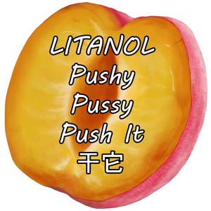 Pushy Pussy Push It 干它 (Explicit)