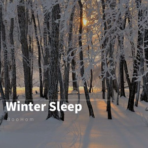 Winter sleep