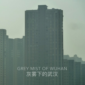 Grey Mist of Wuhan