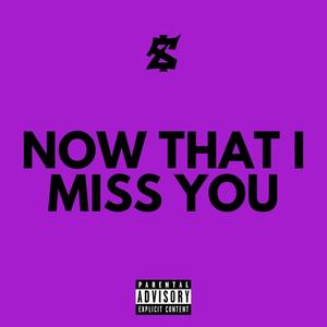 Now That I Miss You (Explicit)