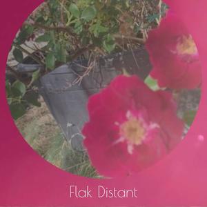 Flak Distant