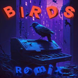 Birds (DJ Vadim Remix)