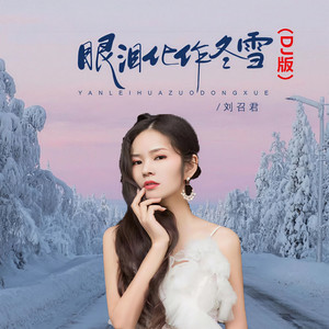 眼泪化作冬雪 (DJ版)