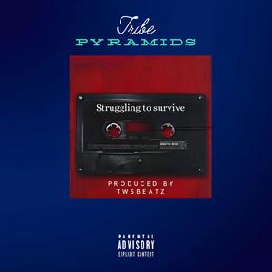 Struggling To Survive (Explicit)