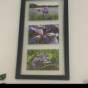 hypnotize (feat. Vails) (Explicit)