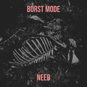 Burst Mode (Explicit)