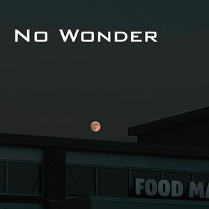 No Wonder (Explicit)