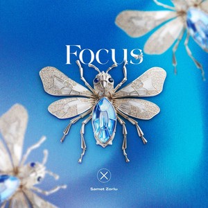 Focus