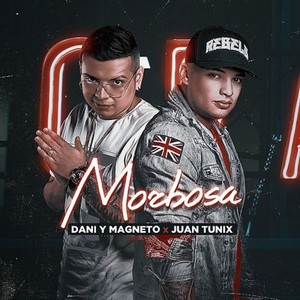 Morbosa