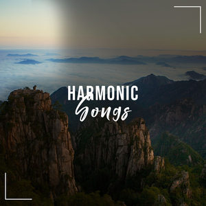 15 Harmonische Lieder, um deinen Geist zu klären