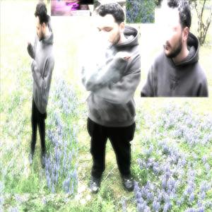 im a vamp (feat. kodgy & shybot) (Explicit)