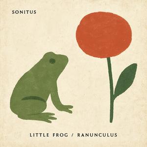 Little Frog / Ranunculus