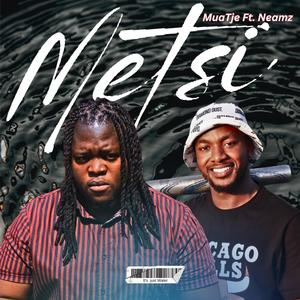 Metsi (feat. Neamz)