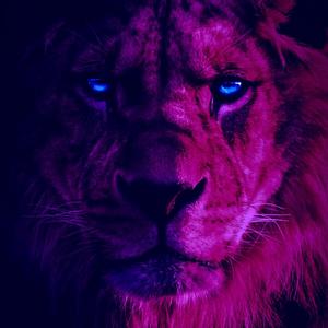 Alpha (feat. Jaaxx) (Explicit)