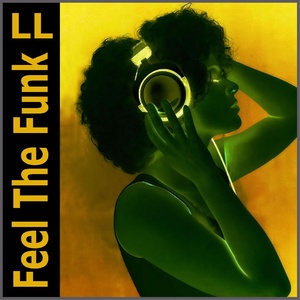 Feel the Funk (Funky Brothers Remix)