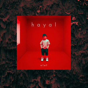 hayal