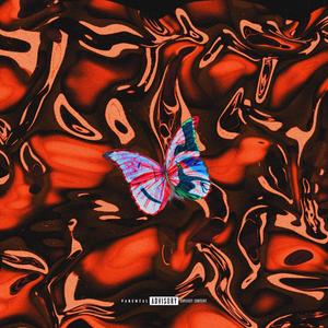 Orange Butterfly (Explicit)