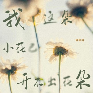 我这朵小花已开不出花朵