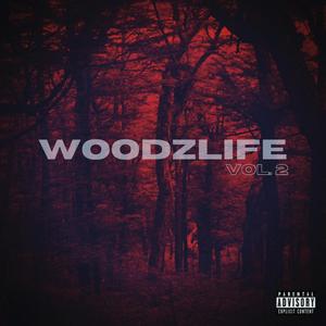 Woodzlife Volume 2 (Explicit)