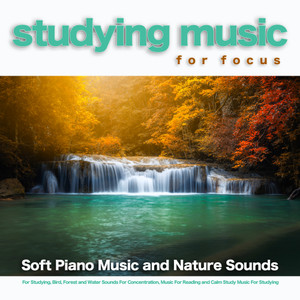 Studying Music and Study Aid with Soft Piano