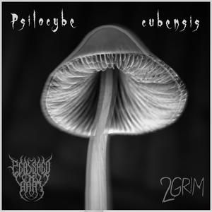 Psilocybe cubensis (feat. 2GRIM) (Explicit)