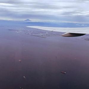 Ocean Date (Explicit)