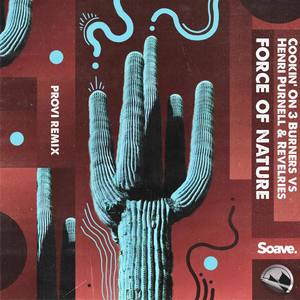 Force of Nature (PROVI Remix)