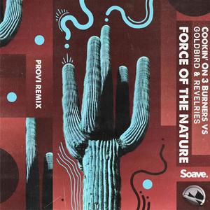 Force of Nature (PROVI Remix)