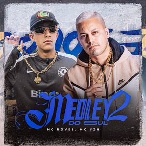 Medley Do Sul, Vol. 2