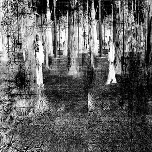 i don't fw ts (feat. Ochoo)