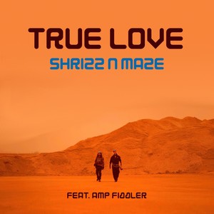 True Love (Jay Murphy Remix)