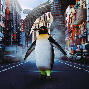 Rocket Pengwin - Doctor